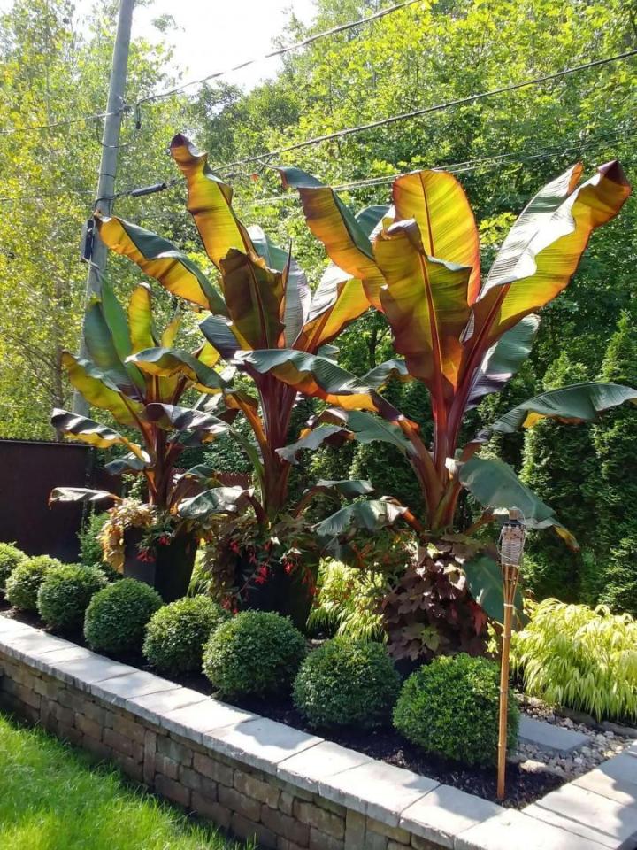Aménagement jardin Terrebonne