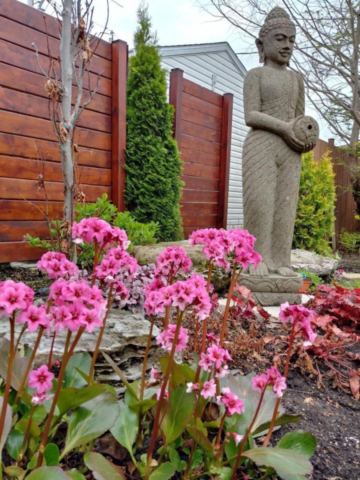 Jardinier paysagiste Terrebonne