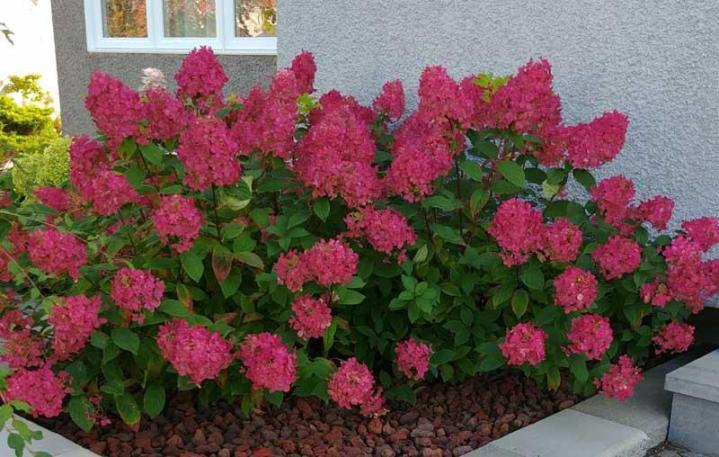 Jardinage Terrebonne